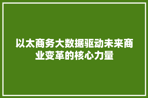 以太商务大数据驱动未来商业变革的核心力量