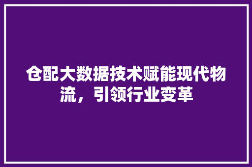 仓配大数据技术赋能现代物流,引领行业变革 仓配大数据技术赋能现代物流,引领行业变革