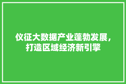仪征大数据产业蓬勃发展,打造区域经济新引擎 仪征大数据产业蓬勃发展,打造区域经济新引擎