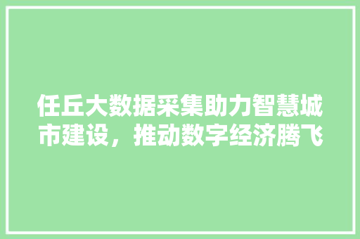 任丘大数据采集助力智慧城市建设,推动数字经济腾飞 任丘大数据采集助力智慧城市建设,推动数字经济腾飞