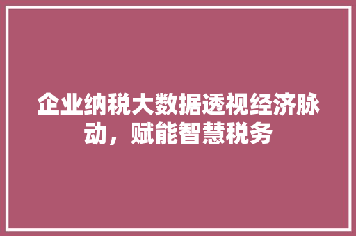 企业纳税大数据透视经济脉动，赋能智慧税务