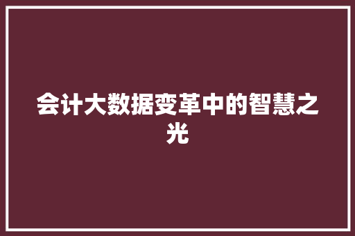 会计大数据变革中的智慧之光