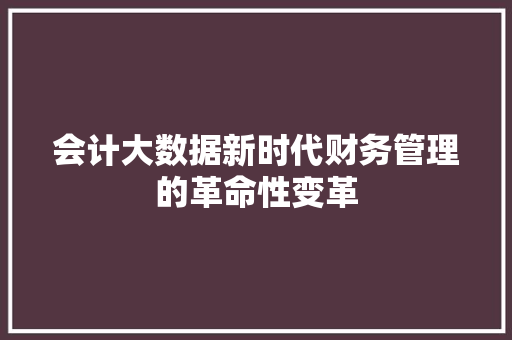会计大数据新时代财务管理的革命性变革 网络技术 会计大数据新时代财务管理的革命性变革 网络技术