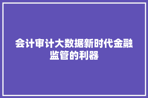 会计审计大数据新时代金融监管的利器 操作系统 会计审计大数据新时代金融监管的利器 操作系统