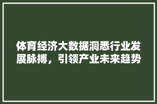 体育经济大数据洞悉行业发展脉搏，引领产业未来趋势 编程语言