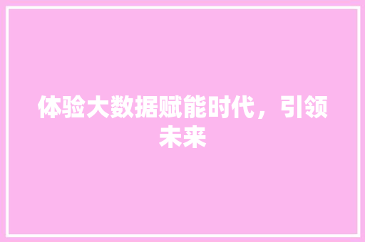 体验大数据赋能时代，引领未来