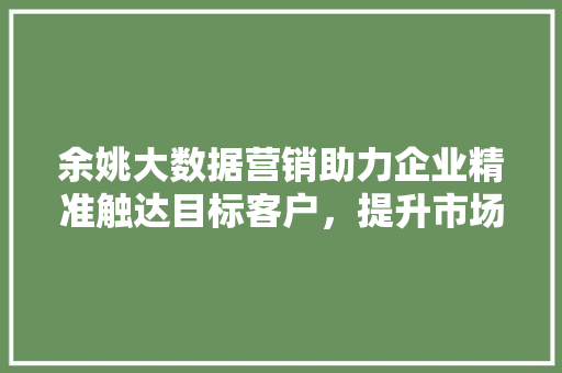 余姚大数据营销助力企业精准触达目标客户，提升市场竞争力 网络技术