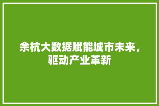 余杭大数据赋能城市未来,驱动产业革新 网络技术 余杭大数据赋能城市未来,驱动产业革新 网络技术