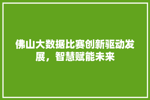 佛山大数据比赛创新驱动发展，智慧赋能未来 电脑故障维修