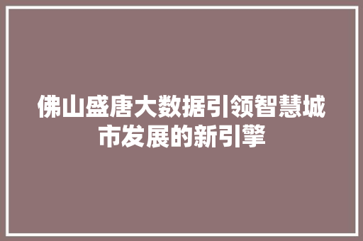 佛山盛唐大数据引领智慧城市发展的新引擎 网络技术