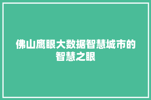 佛山鹰眼大数据智慧城市的智慧之眼