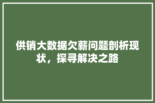 供销大数据欠薪问题剖析现状,探寻解决之路 电脑基础 供销大数据欠薪问题剖析现状,探寻解决之路 电脑基础