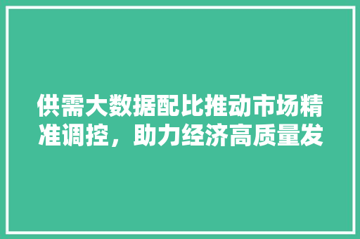 供需大数据配比推动市场精准调控，助力经济高质量发展 操作系统