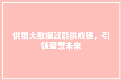 供销大数据赋能供应链，引领智慧未来 编程语言