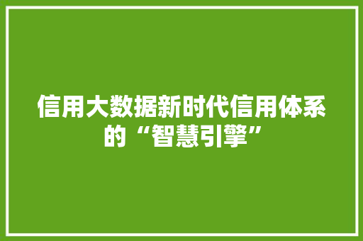 信用大数据新时代信用体系的“智慧引擎” 电脑基础