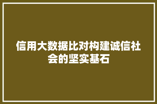信用大数据比对构建诚信社会的坚实基石