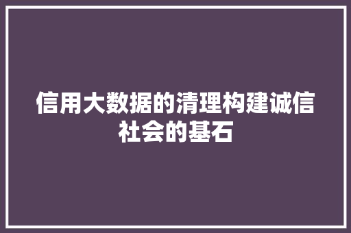 信用大数据的清理构建诚信社会的基石