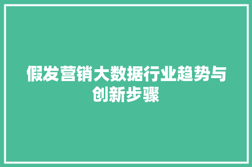 假发营销大数据行业趋势与创新步骤 电脑配置