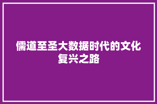 儒道至圣大数据时代的文化复兴之路 电脑基础 儒道至圣大数据时代的文化复兴之路 电脑基础