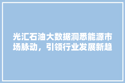 光汇石油大数据洞悉能源市场脉动，引领行业发展新趋势 电脑基础