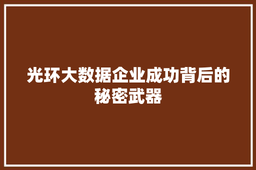 光环大数据企业成功背后的秘密武器 编程语言