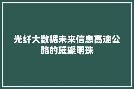 光纤大数据未来信息高速公路的璀璨明珠