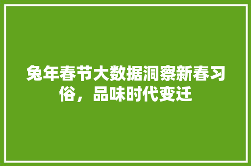 兔年春节大数据洞察新春习俗，品味时代变迁 电脑配置