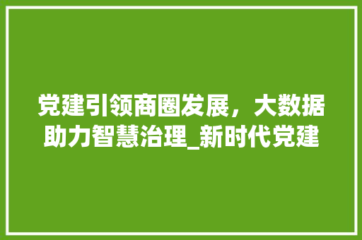 党建引领商圈发展，大数据助力智慧治理_新时代党建商圈的探索与方法 电脑配置