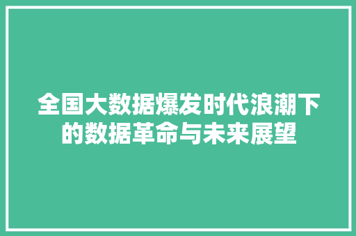 全国大数据爆发时代浪潮下的数据革命与未来展望 电脑基础