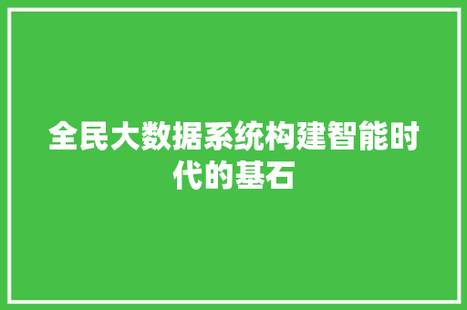 全民大数据系统构建智能时代的基石 电脑基础