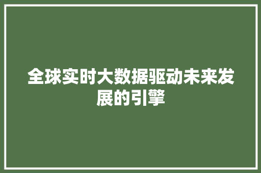 全球实时大数据驱动未来发展的引擎