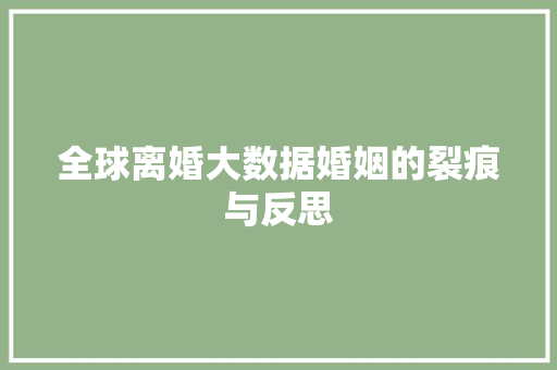 全球离婚大数据婚姻的裂痕与反思