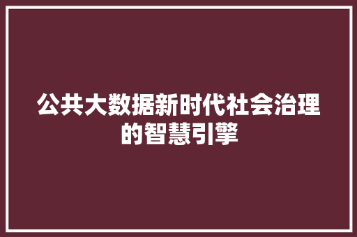 公共大数据新时代社会治理的智慧引擎