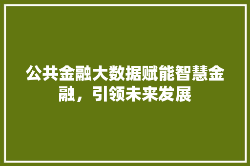 公共金融大数据赋能智慧金融，引领未来发展