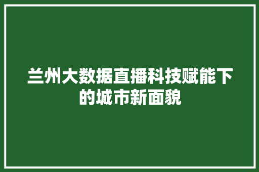 兰州大数据直播科技赋能下的城市新面貌