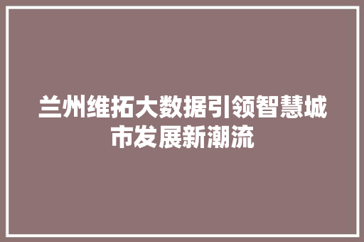 兰州维拓大数据引领智慧城市发展新潮流 兰州维拓大数据引领智慧城市发展新潮流