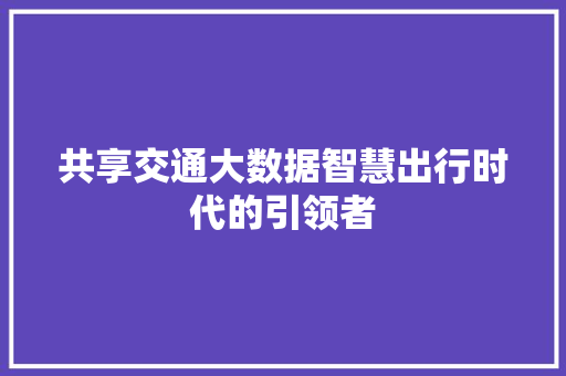 共享交通大数据智慧出行时代的引领者 共享交通大数据智慧出行时代的引领者