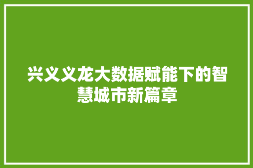 兴义义龙大数据赋能下的智慧城市新篇章 电脑基础 兴义义龙大数据赋能下的智慧城市新篇章 电脑基础