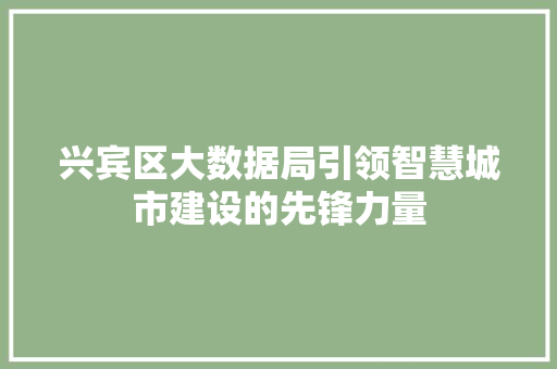 兴宾区大数据局引领智慧城市建设的先锋力量