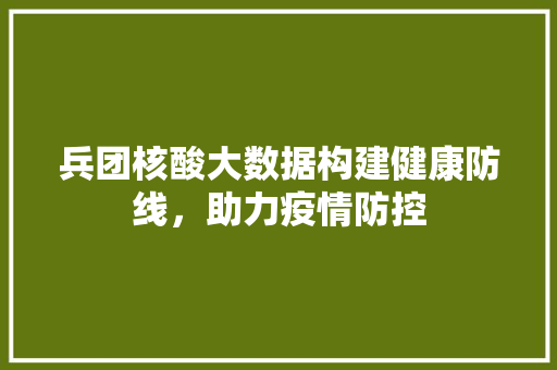 兵团核酸大数据构建健康防线，助力疫情防控