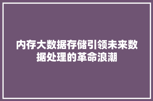 内存大数据存储引领未来数据处理的革命浪潮