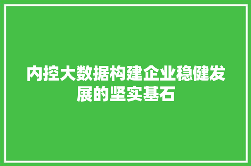 内控大数据构建企业稳健发展的坚实基石