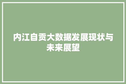 内江自贡大数据发展现状与未来展望