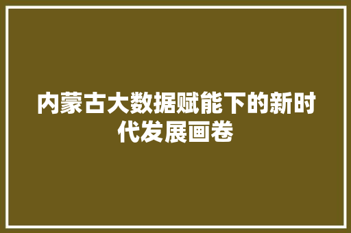 内蒙古大数据赋能下的新时代发展画卷