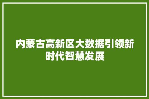 内蒙古高新区大数据引领新时代智慧发展