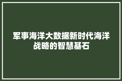 军事海洋大数据新时代海洋战略的智慧基石