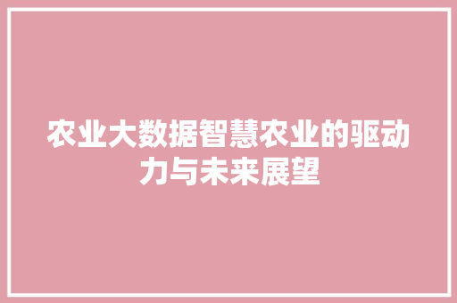 农业大数据智慧农业的驱动力与未来展望