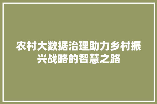 农村大数据治理助力乡村振兴战略的智慧之路 电脑配置