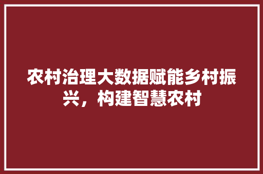 农村治理大数据赋能乡村振兴,构建智慧农村 电脑配置 农村治理大数据赋能乡村振兴,构建智慧农村 电脑配置