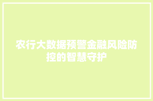 农行大数据预警金融风险防控的智慧守护